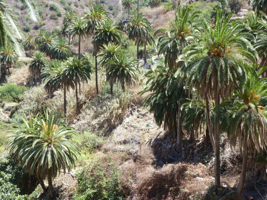 Bellavista Gomera Appartement *